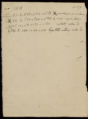 Open original Objet numérique