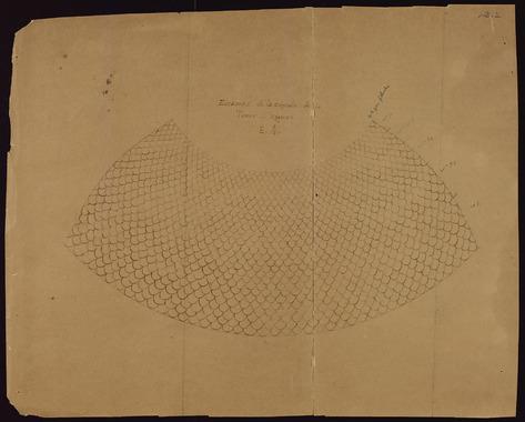 Open original Objecte digital