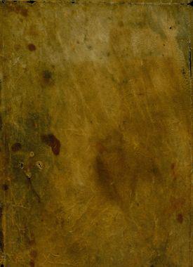 Open original Objecte digital