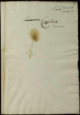 Open original Objecte digital